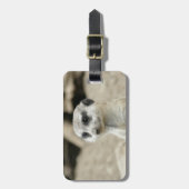 Meerkat Bagagelabel (Voorkant verticaal)