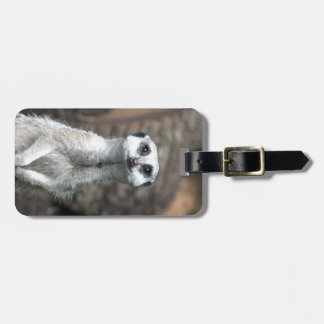 Meerkat Bagagelabel