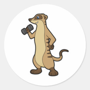 Meerkat bij Sterke training met Dumbbell Ronde Sticker