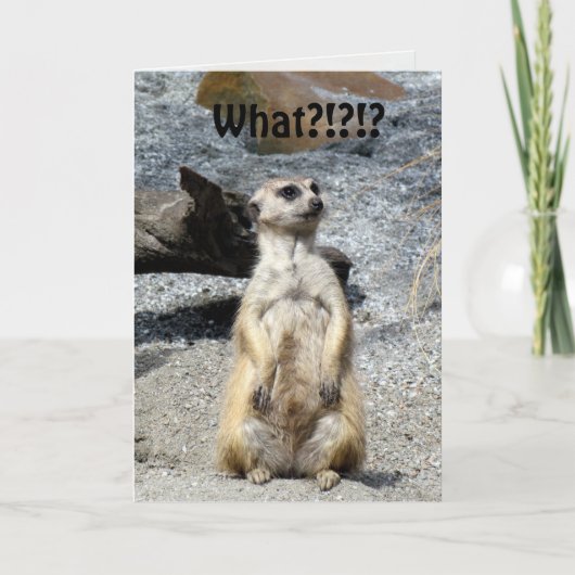 Meerkat Birthday Kaart (Voorkant)