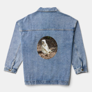 Meerkat blanc, Veste Denim,