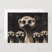 Meerkat briefkaart (Voorkant / Achterkant)