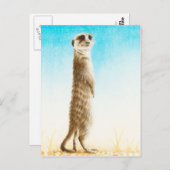 Meerkat Briefkaart (Voorkant / Achterkant)