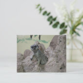 Meerkat Briefkaart (Staand voorkant)