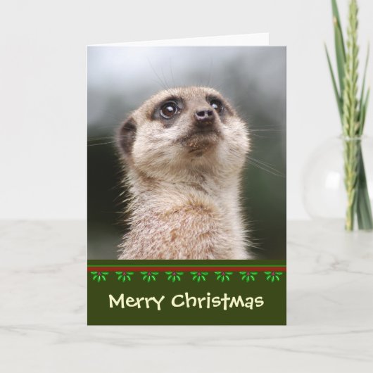 Meerkat Christmas Kaart (Voorkant)