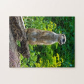 Meerkat dans les bois Jigsaw puzzle (Horizontal)