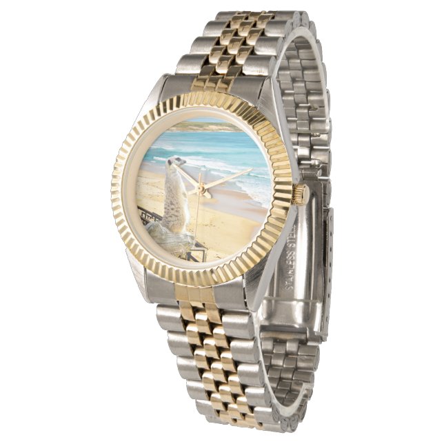 Meerkat die het zeegebied bevalt, horloge (Gekanteld)