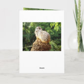 Meerkat die je mist, kaart (Achterkant)