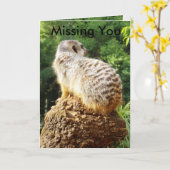 Meerkat die je mist, kaart (Gele Bloem)