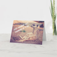 Meerkat die u missen Wenskaart