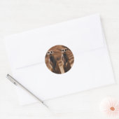 Meerkat Duo Ronde Sticker (Envelop)