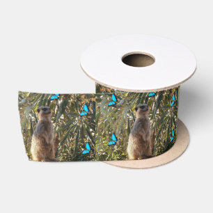 Meerkat en blauwe vlinders, lint