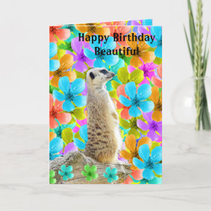 Meerkat en Blossom Birthday Kaart