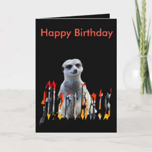 Meerkat en Logo, zwarte Happy Birthday Kaart