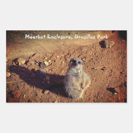 Meerkat Enclosure, Drusillas Park Sticker (Voorkant)