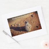 Meerkat Enclosure, Drusillas Park Sticker (Envelop)
