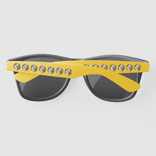 Meerkat endormi, Lunettes de soleil (Dos)