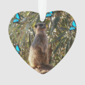 Meerkat Et Papillons, (devant)