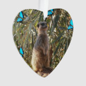 Meerkat Et Papillons, (devant)