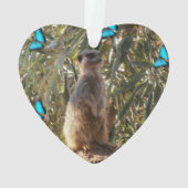 Meerkat Et Papillons, (dos)