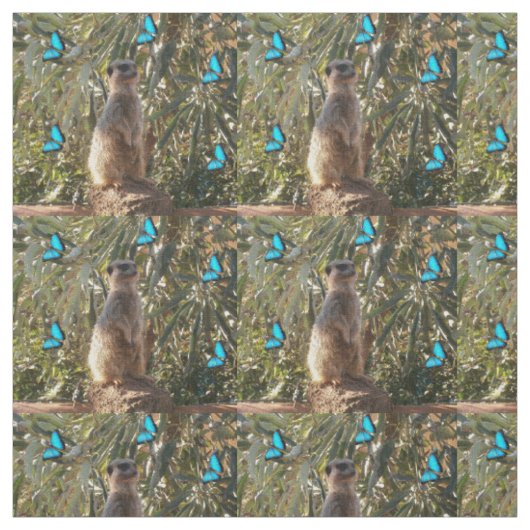 Meerkat Et Papillons Bleus, Tissu (Échantillon)