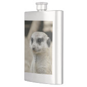 Meerkat Flacon (Links)