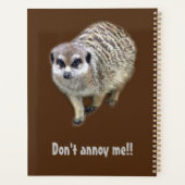 Meerkat grincheux (Dos)