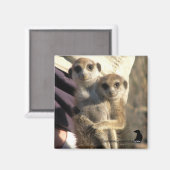 Meerkat Hug a Friend - Magnet (Recto/Verso)