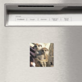 Meerkat Hug a Friend - Magnet (In Situ (Lave-vaisselle))