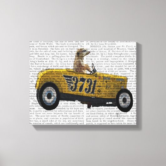 Meerkat in warme weg canvas afdruk (Voorkant)