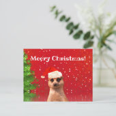 Meerkat Joyeux Noël drôle Carte postale de Noël (Debout devant)