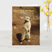 meerkat kaart (Gele Bloem)