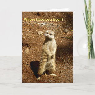 meerkat kaart