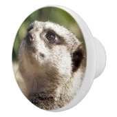 MEERKAT KERAMISCHE KNOP (Rechts)