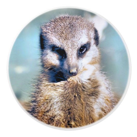 MEERKAT KERAMISCHE KNOP (Voorkant)