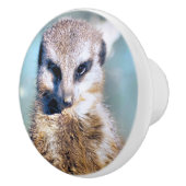 MEERKAT KERAMISCHE KNOP (Rechts)