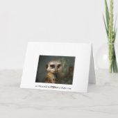Meerkat Kerst Feestdagen Kaart (Achterkant)