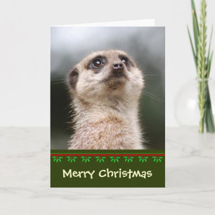 Meerkat-kerstkaart Feestdagen Kaart
