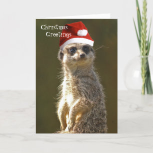 Meerkat-kerstkaartje Feestdagen Kaart