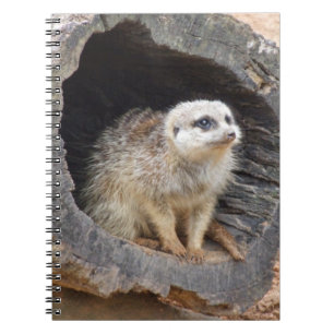 Meerkat-laptop Notitieboek