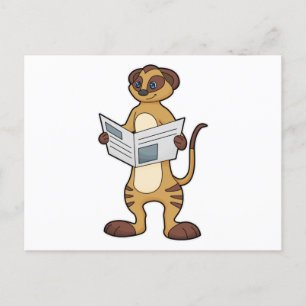 Meerkat leest een krant briefkaart