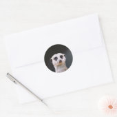 Meerkat Lookout autocollant rond (Enveloppe)