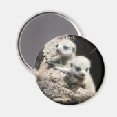 Meerkat magneet 3 (Voorkant / Achterkant)