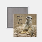 Meerkat Magnet (Recto/Verso)