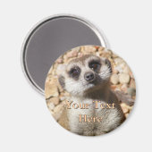 Meerkat Magnet (Recto/Verso)