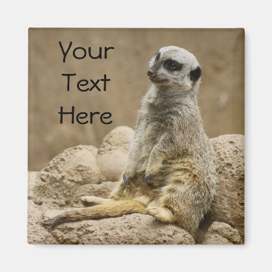 Meerkat Magnet Magneet (Voorkant)