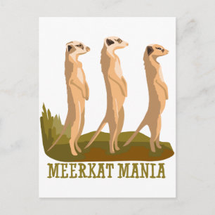 Meerkat Mania Briefkaart