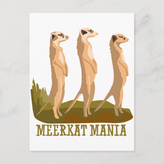 Meerkat Mania Briefkaart (Voorkant)