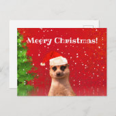 Meerkat Merry Kerstfeest Funny Briefkaart (Voorkant / Achterkant)
