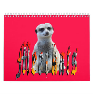 Meerkat met Style USA Feestdagen 2019, Kalender